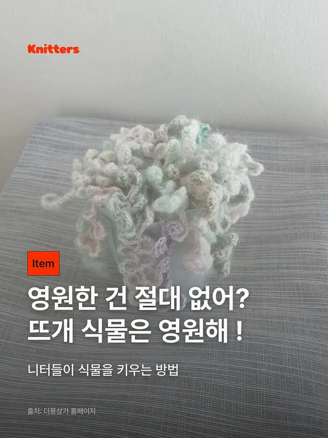 화분에 담긴 다양한 형태의 초록색 뜨개 식물
